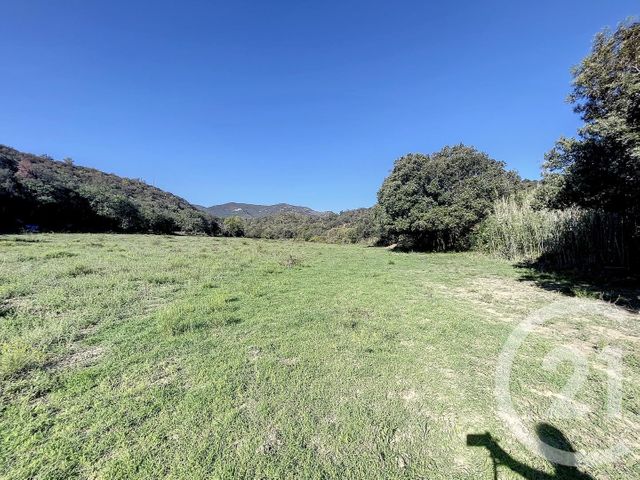 terrain à vendre - 22147.0 m2 - MONTAURIOL - 66 - LANGUEDOC-ROUSSILLON - Century 21 Terres Catalanes