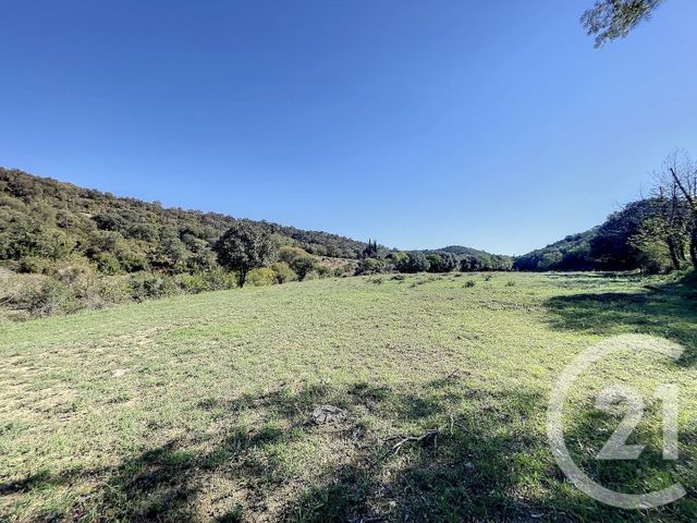 terrain à vendre - 22147.0 m2 - MONTAURIOL - 66 - LANGUEDOC-ROUSSILLON - Century 21 Terres Catalanes