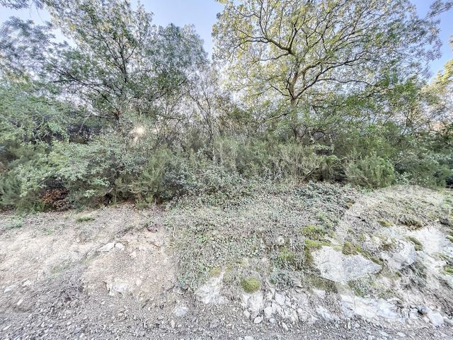 terrain à vendre - 22147.0 m2 - MONTAURIOL - 66 - LANGUEDOC-ROUSSILLON - Century 21 Terres Catalanes