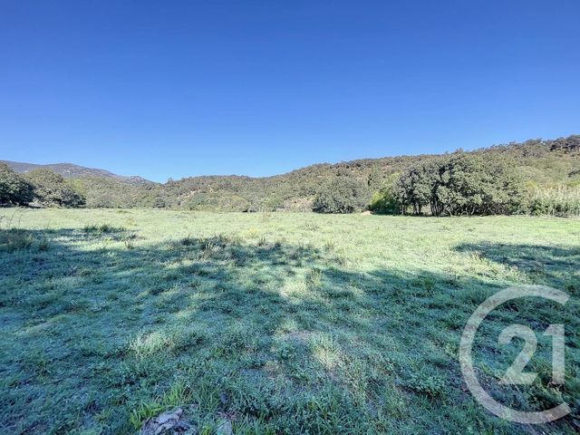 terrain à vendre - 22147.0 m2 - MONTAURIOL - 66 - LANGUEDOC-ROUSSILLON - Century 21 Terres Catalanes