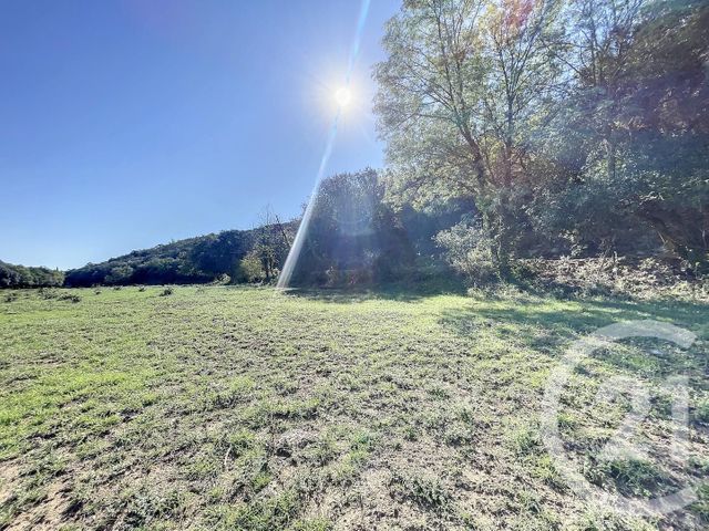 terrain à vendre - 22147.0 m2 - MONTAURIOL - 66 - LANGUEDOC-ROUSSILLON - Century 21 Terres Catalanes