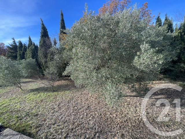 terrain à vendre - 483.0 m2 - THUIR - 66 - LANGUEDOC-ROUSSILLON - Century 21 Terres Catalanes