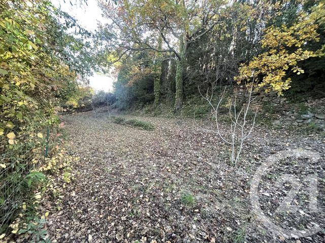 terrain à vendre - 483.0 m2 - THUIR - 66 - LANGUEDOC-ROUSSILLON - Century 21 Terres Catalanes