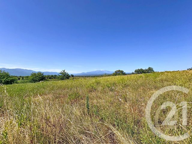 Afficher la photo en grand maison à vendre - 8 pièces - 334.2 m2 - TRESSERRE - 66 - LANGUEDOC-ROUSSILLON - Century 21 Terres Catalanes