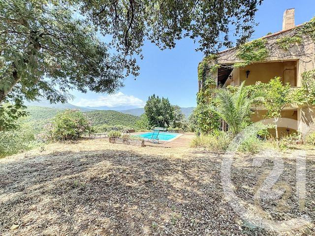 maison à vendre - 7 pièces - 282.1 m2 - MONTAURIOL - 66 - LANGUEDOC-ROUSSILLON - Century 21 Terres Catalanes