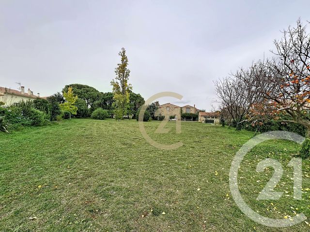 maison à vendre - 6 pièces - 291.53 m2 - TERRATS - 66 - LANGUEDOC-ROUSSILLON - Century 21 Terres Catalanes