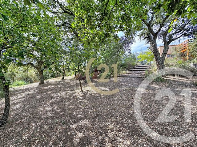 maison à vendre - 5 pièces - 188.0 m2 - MONTAURIOL - 66 - LANGUEDOC-ROUSSILLON - Century 21 Terres Catalanes