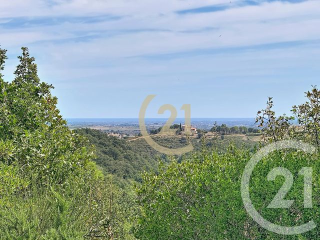 maison à vendre - 5 pièces - 188.0 m2 - MONTAURIOL - 66 - LANGUEDOC-ROUSSILLON - Century 21 Terres Catalanes