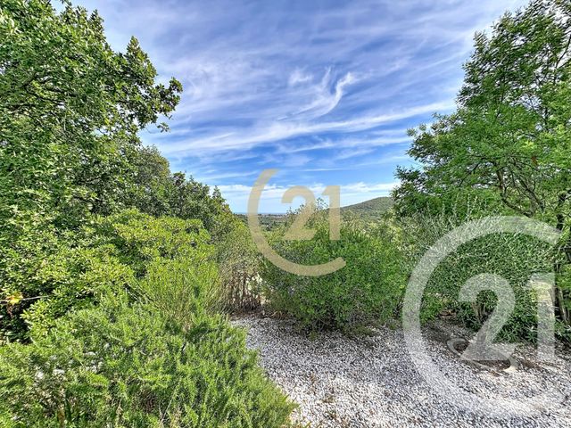 maison à vendre - 5 pièces - 188.0 m2 - MONTAURIOL - 66 - LANGUEDOC-ROUSSILLON - Century 21 Terres Catalanes