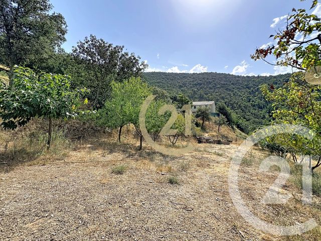maison à vendre - 9 pièces - 289.2 m2 - ST MICHEL DE LLOTES - 66 - LANGUEDOC-ROUSSILLON - Century 21 Terres Catalanes