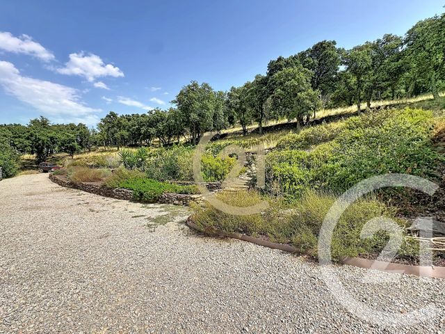 maison à vendre - 9 pièces - 289.2 m2 - ST MICHEL DE LLOTES - 66 - LANGUEDOC-ROUSSILLON - Century 21 Terres Catalanes